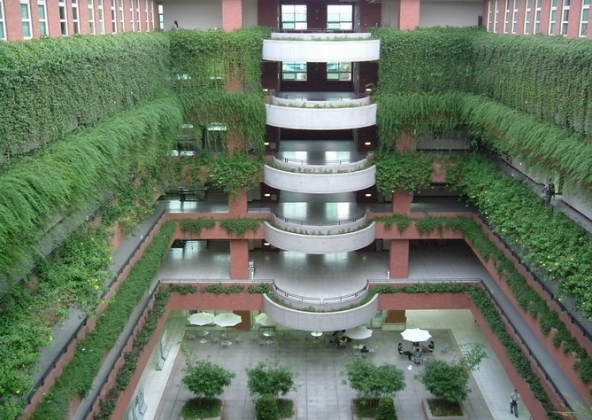 Lovely Green Building