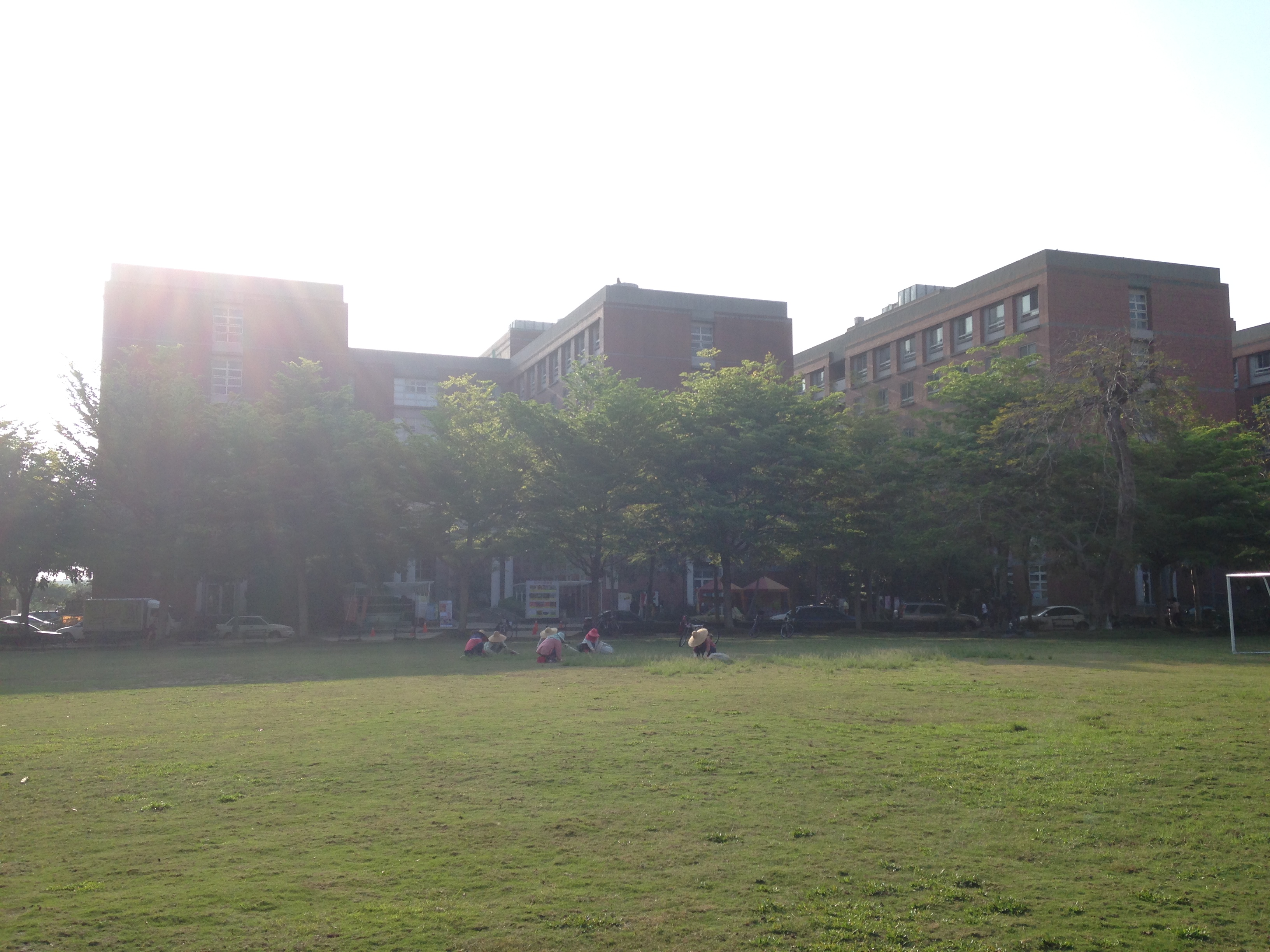 Green Field in front of Dorms